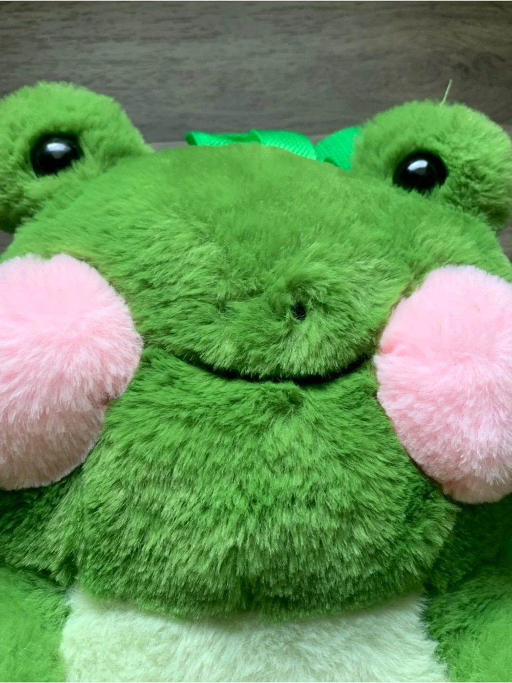 14 inch Frog Backpack with Adjustable Canvas Straps